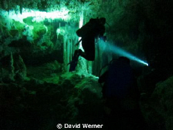 Diving in Akumal, Mexico in a Cenote at Hidden Worlds by David Werner 